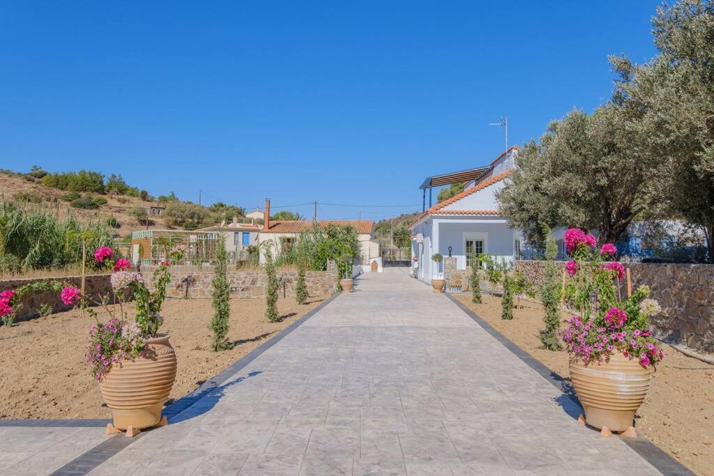 Lefkathia Beach Villa - Gated Beach-Front Private Villa At Lefkathia Beach, Chios! Volissos Екстер'єр фото